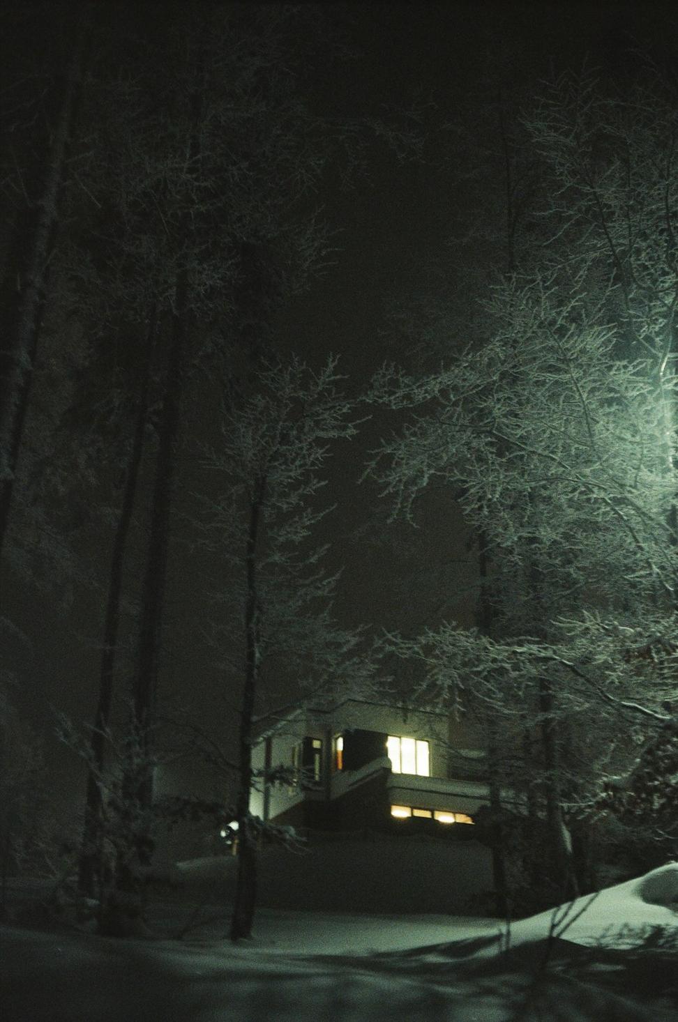 Whistler project