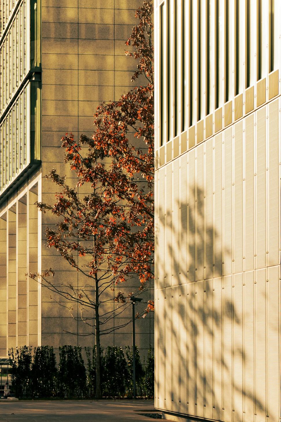 Fall transition