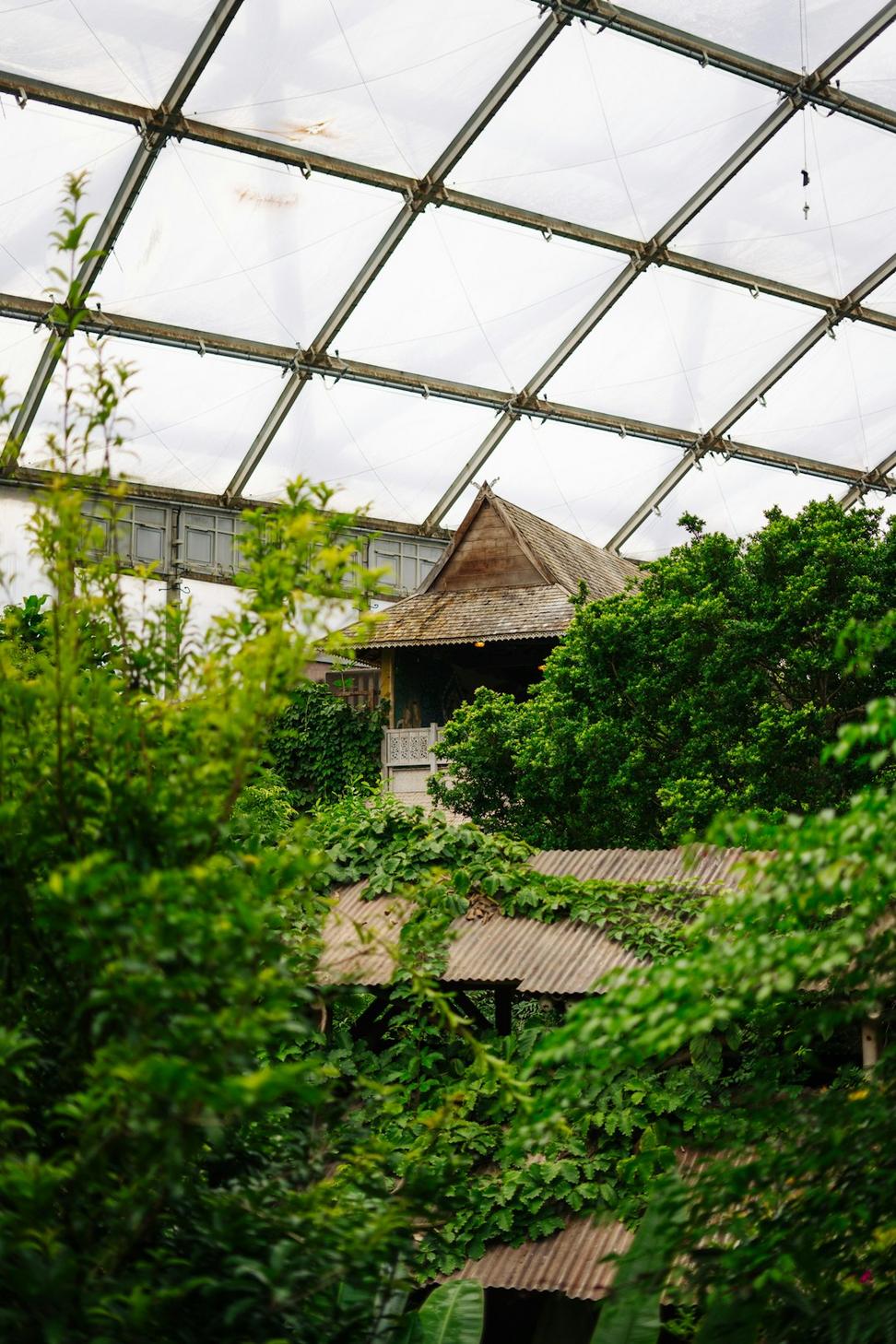Urban Growing Facility