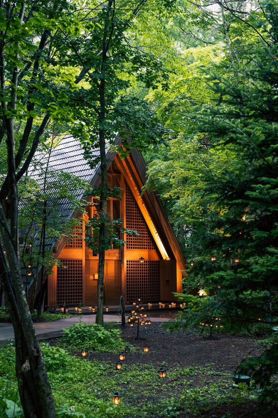 Boreal Forest Retreat